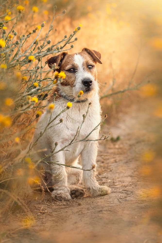 Photograph by Jelena Potrebic