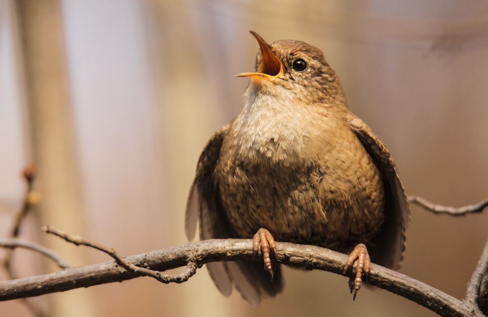 Photograph by Елизавета Цемко