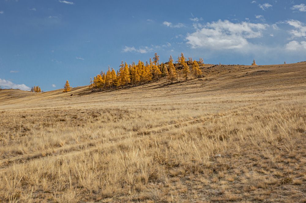 Photograph by Елена Павлова