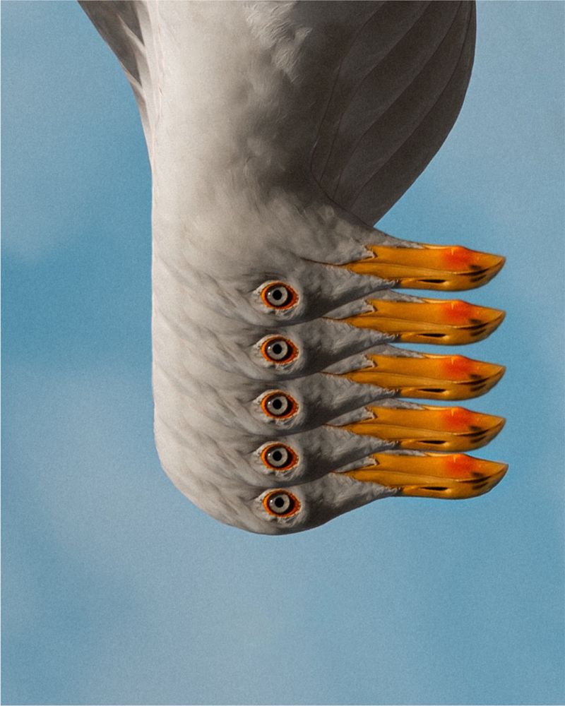 Photograph by Антон Дружков