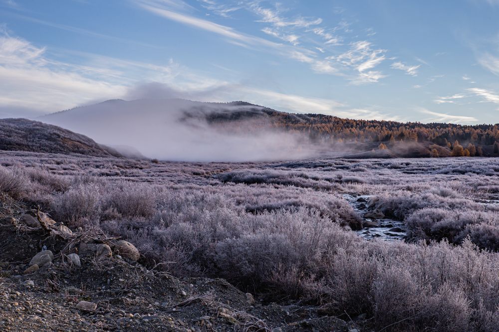 Photograph by Елена Павлова