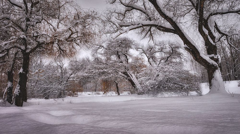 Photograph by Сергей Епишев