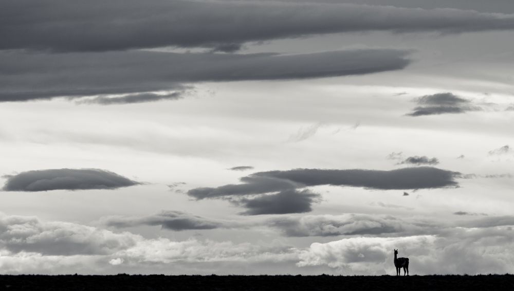 Фотография автора Cristian Dinivitzer