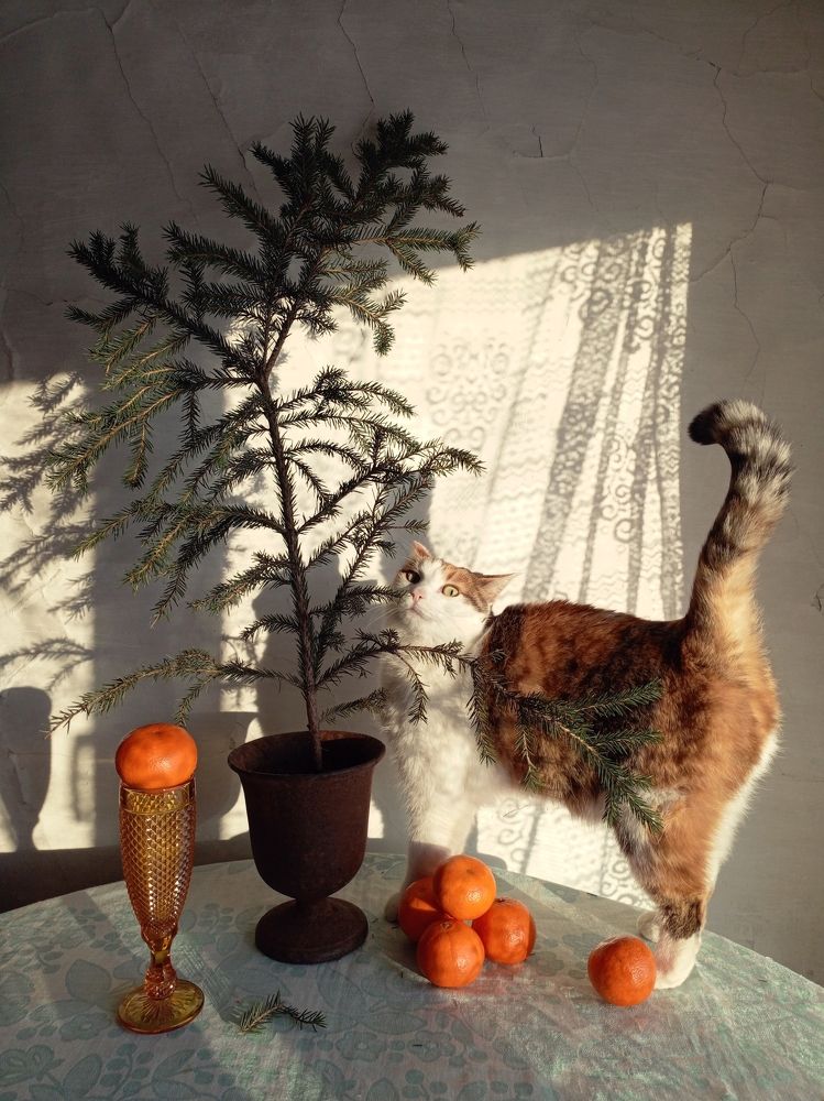 Photograph by Юлия