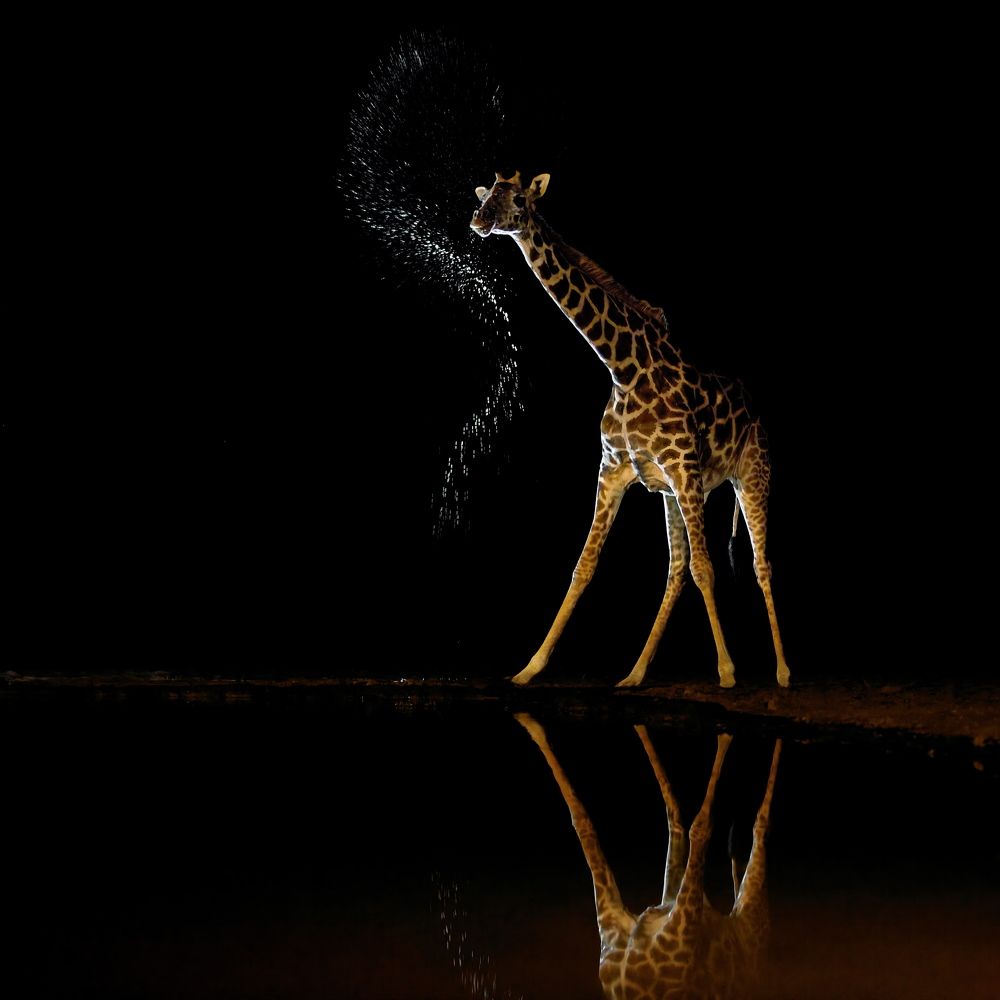 "Восьмерка"