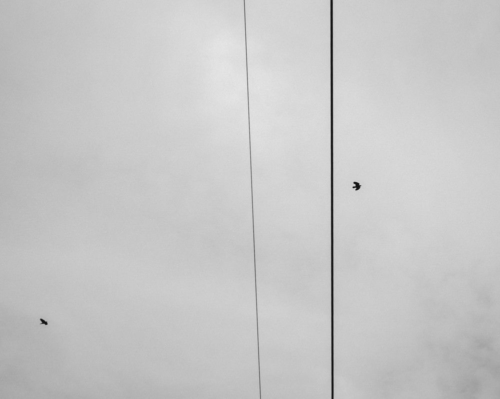 Photograph by Anton Belov