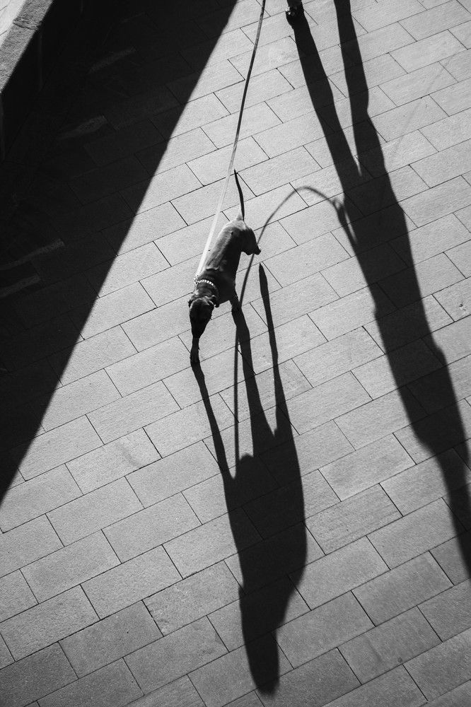 Photograph by Anton Belov