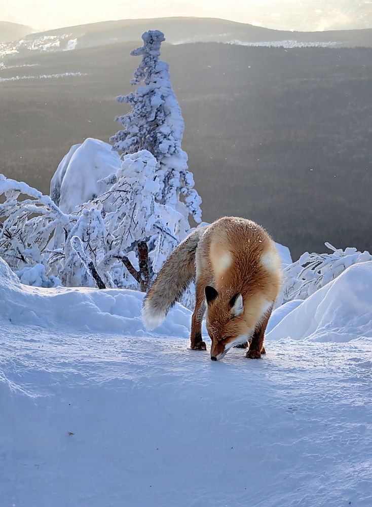 Фотография автора Кухта Мария