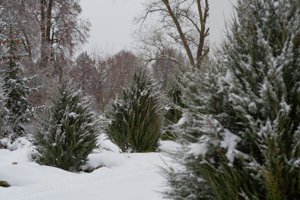 Фотография автора Наталья Почтенная