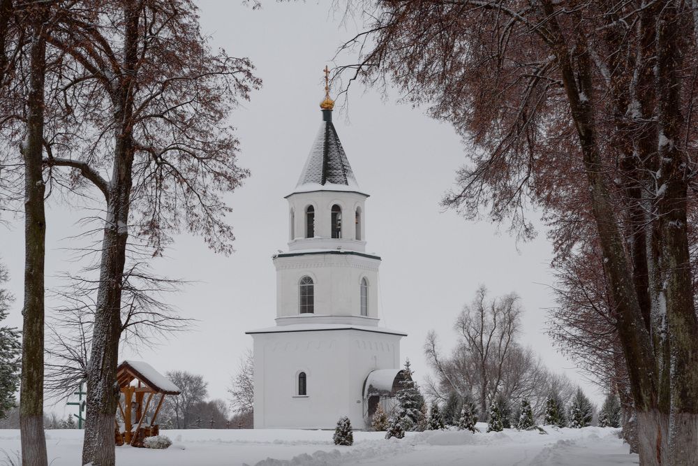 Фотография автора Наталья Почтенная