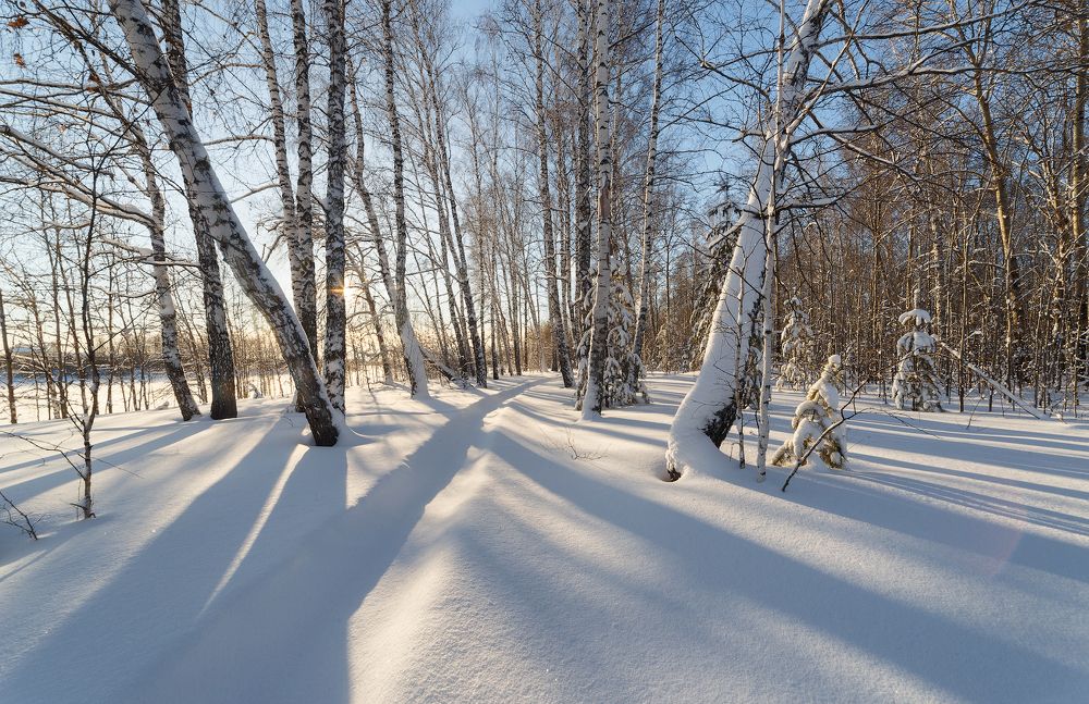 Фотография автора  Гобова Наталья