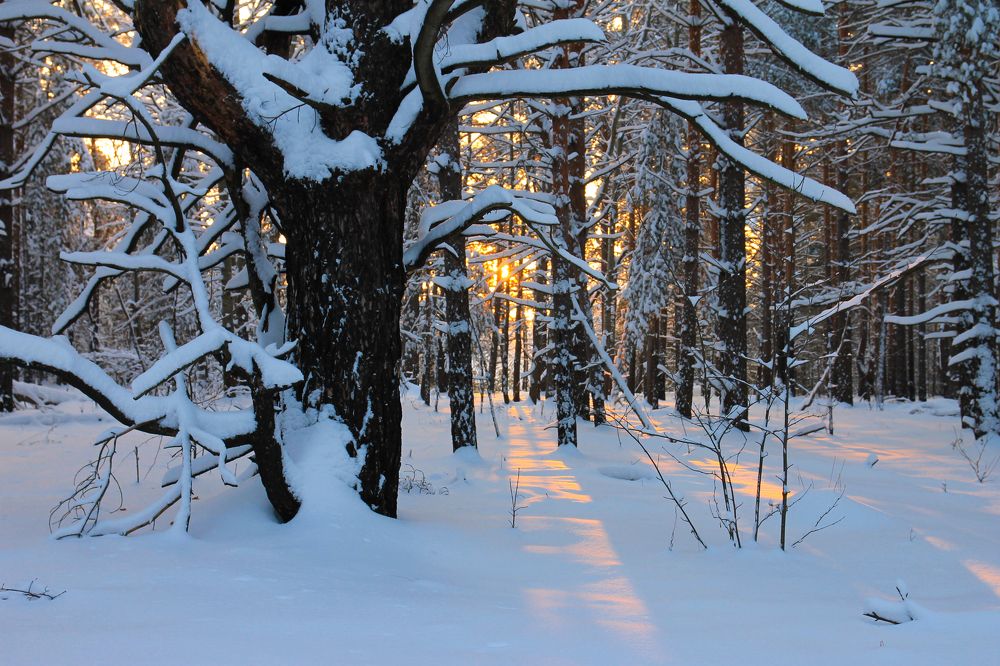 Photograph by Екатерина Кузнецова