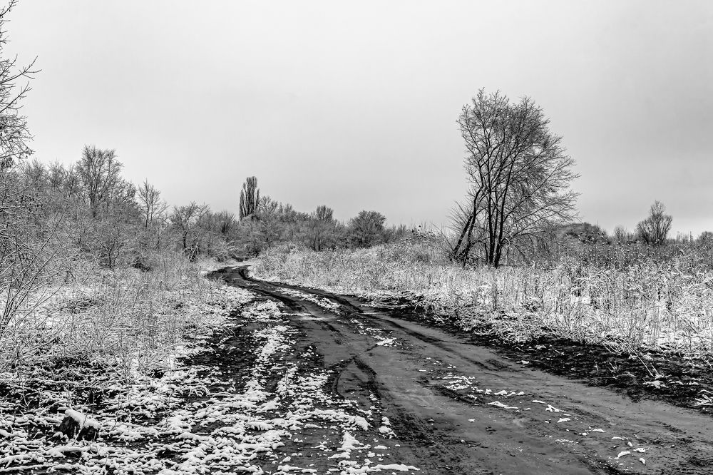 И вот утро в январе..