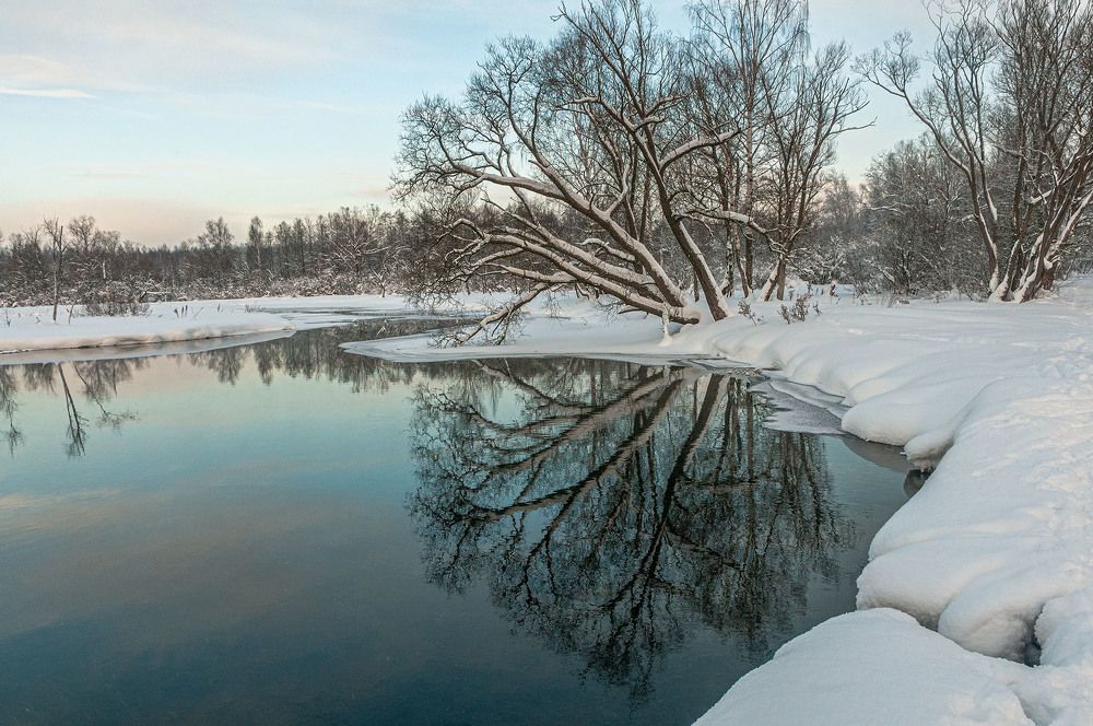 Photograph by Vladimir  Komarov