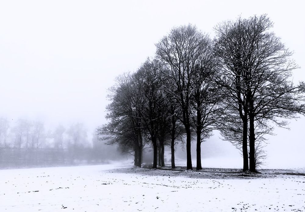 Фотография автора caroline martin (dony)