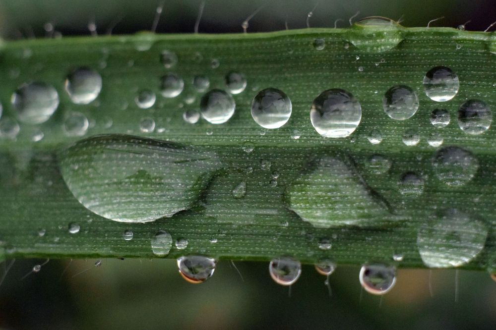 Photograph by Марина Крюкова