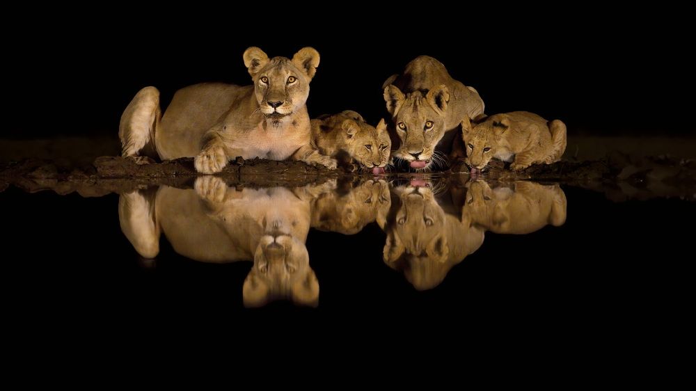 Ночная жизнь