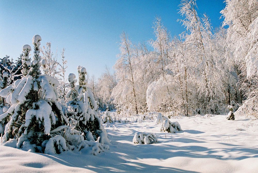 Фотография автора Николай Семенец