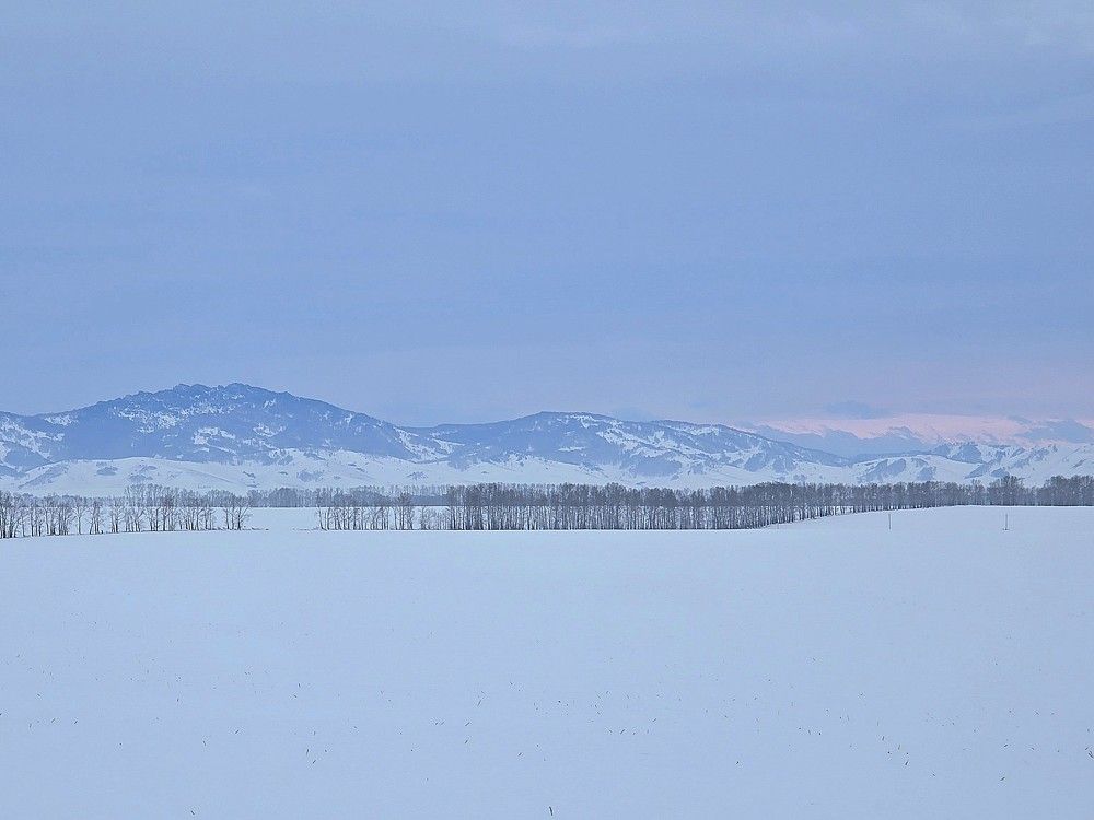 Фотография автора Наталья Иванова