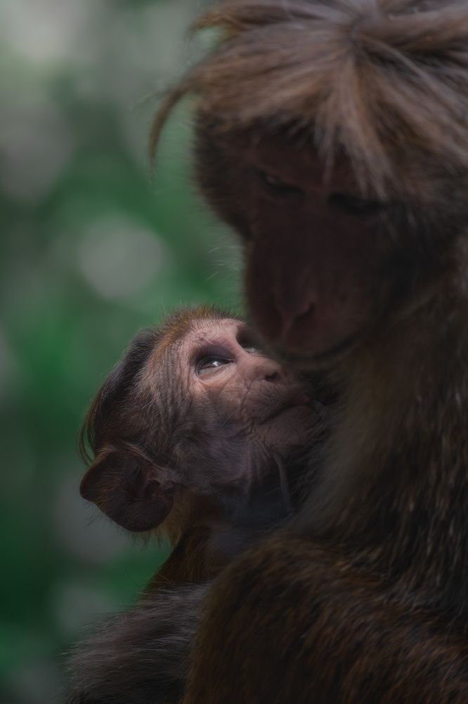 Photograph by Domenico Marrano