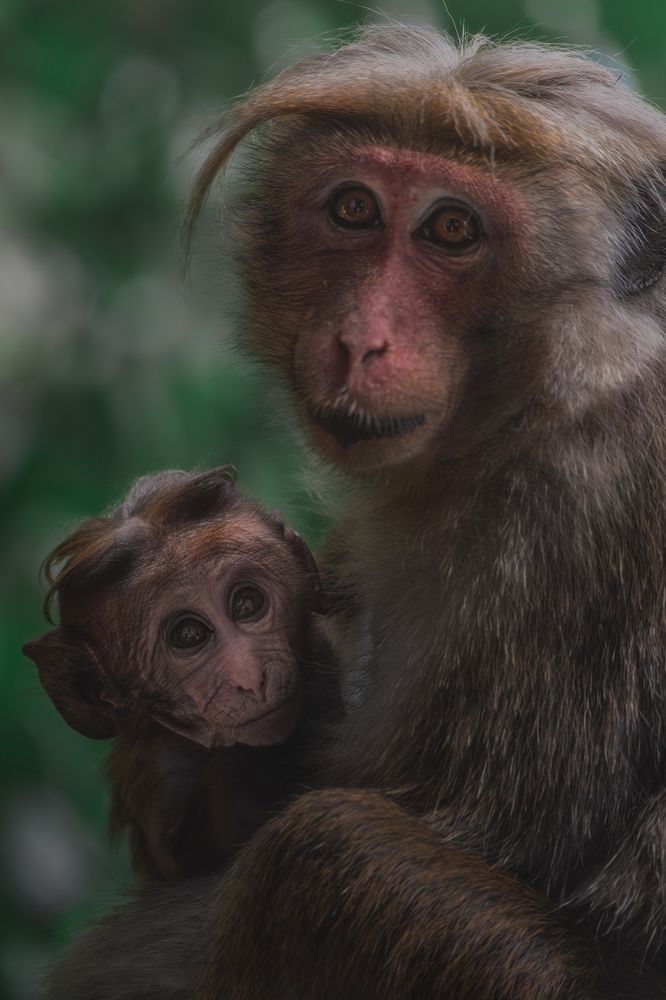 Photograph by Domenico Marrano