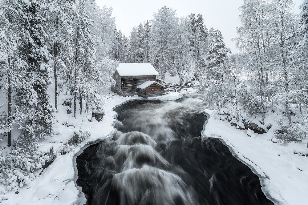 Photograph by Alexander Pashenichev