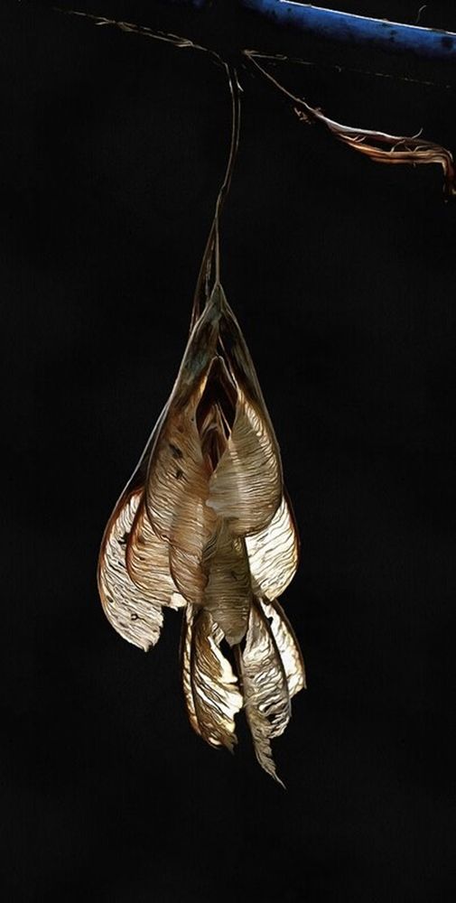 Photograph by Леонид Шнейдерман