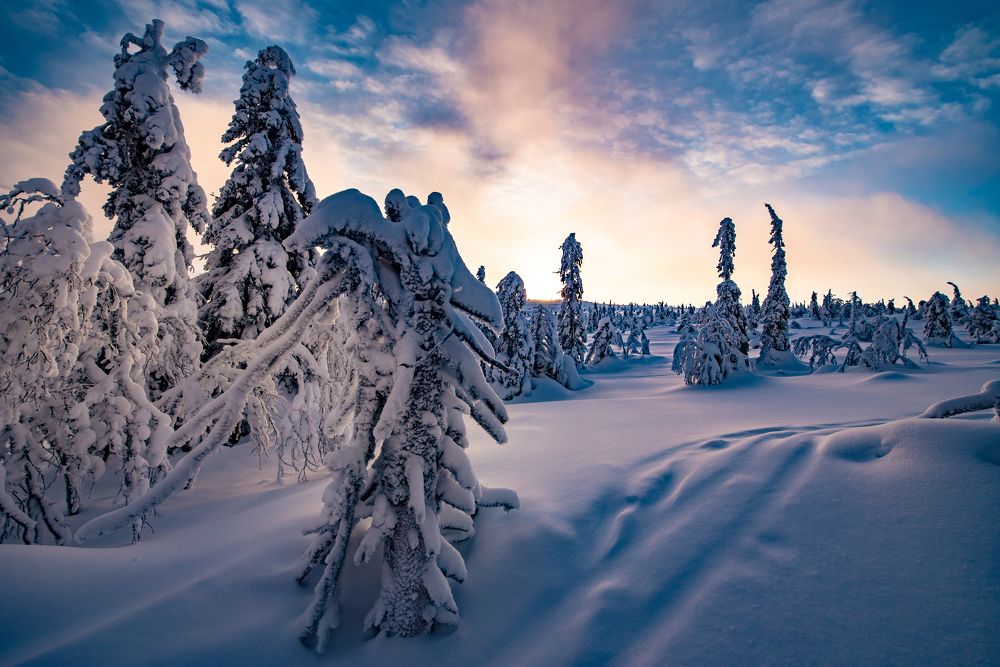 Фотография автора Tommaso Henry Corona