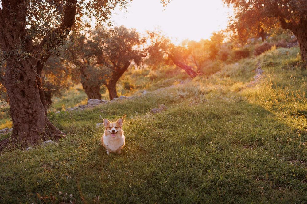 Photograph by Анна Титова