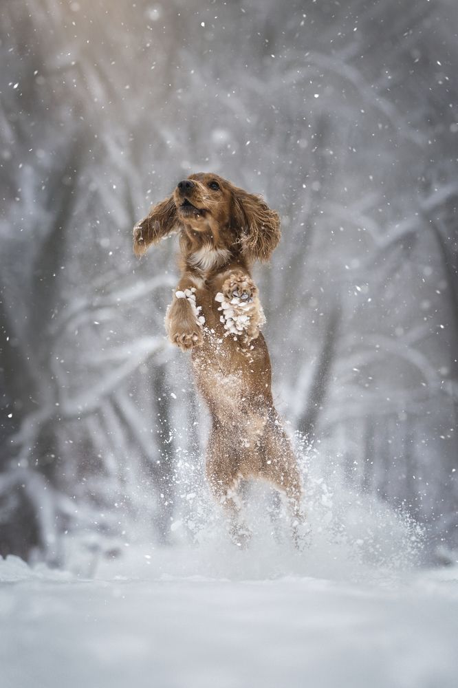 Photograph by Александра Пугачёва