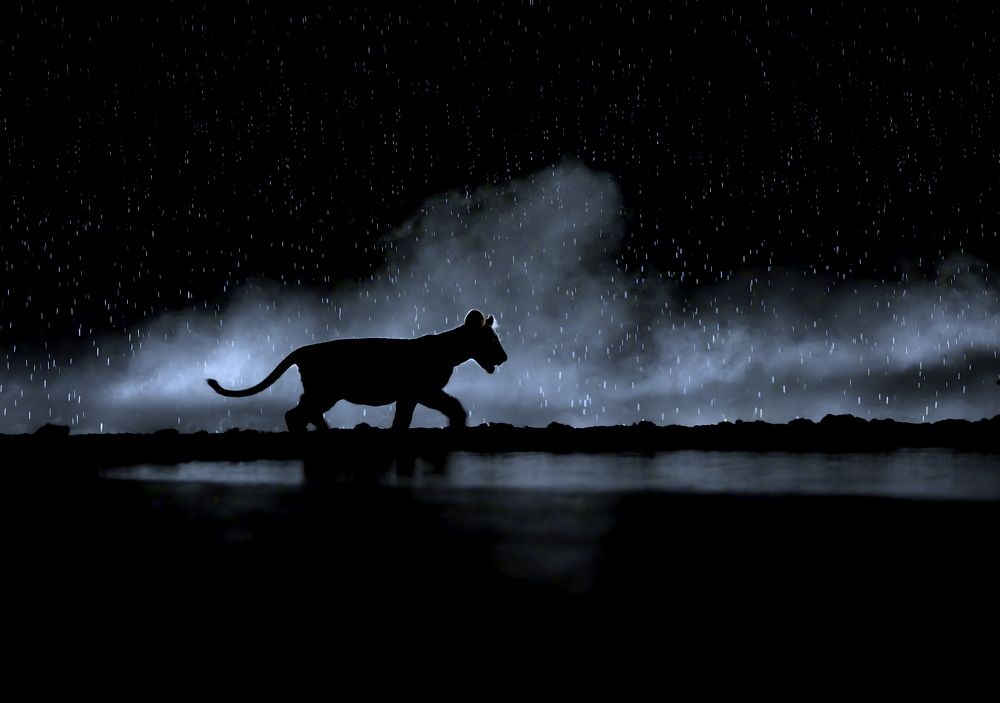 Что нам снег, что нам дождь...