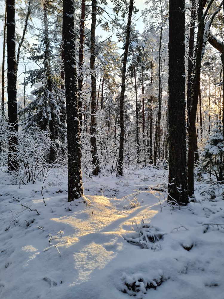 Photograph by Ирина Хлебникова