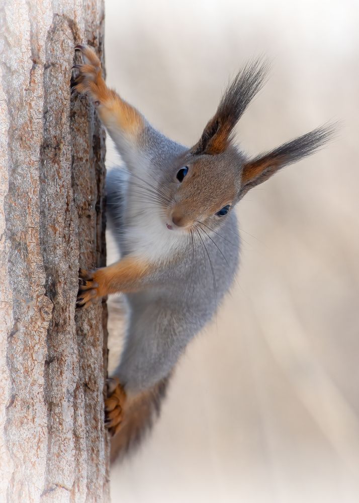 Photograph by Кузнецов Дмитрий