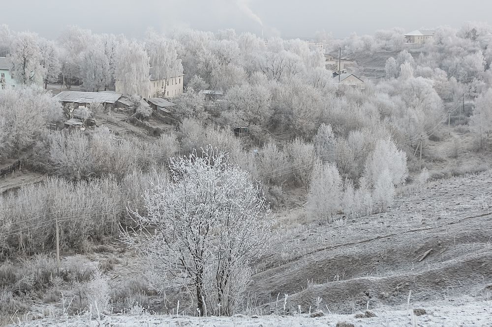 Photograph by Светлана Карнаух