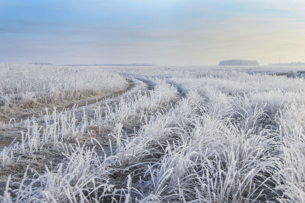 Photograph by Светлана Карнаух