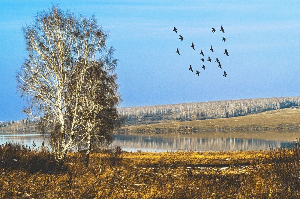 Золотая осень в сибири