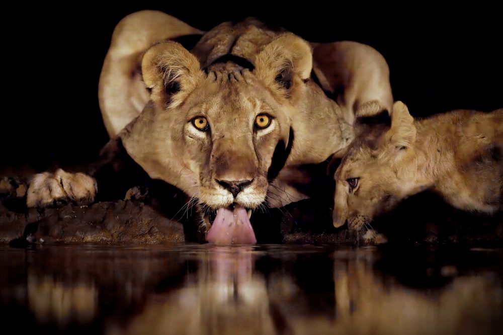 Встреча глазами