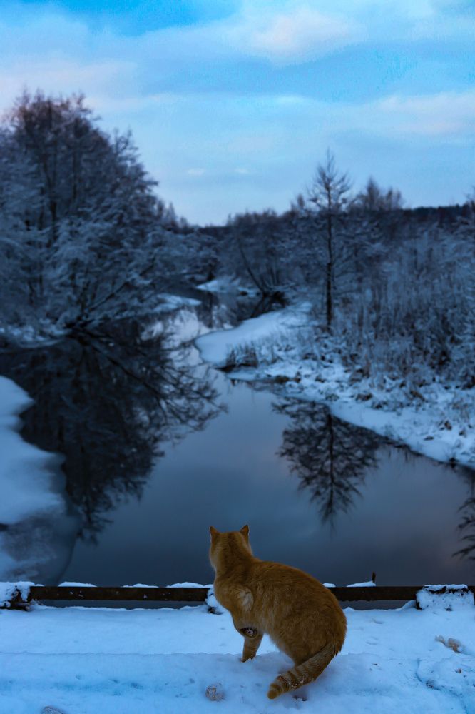 Photograph by Руслана Ковалевская