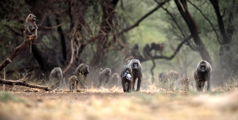 Пацаны на районе