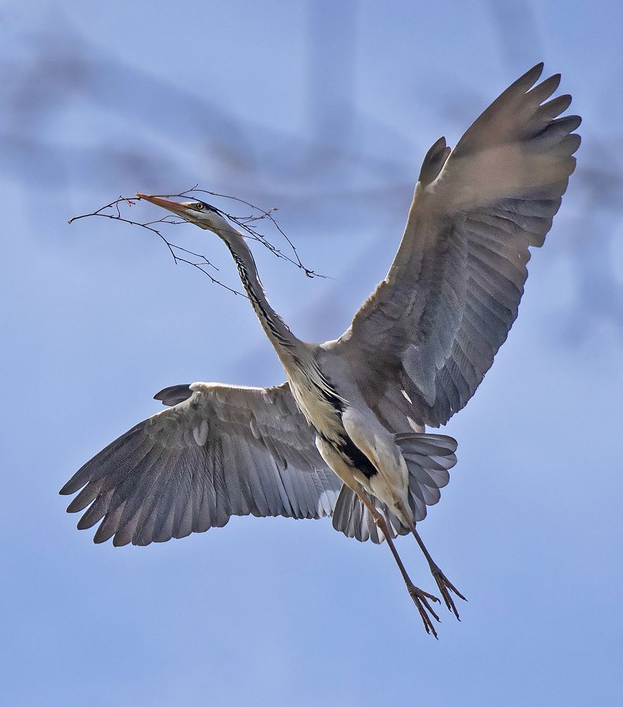 Photograph by Gurdina Lena