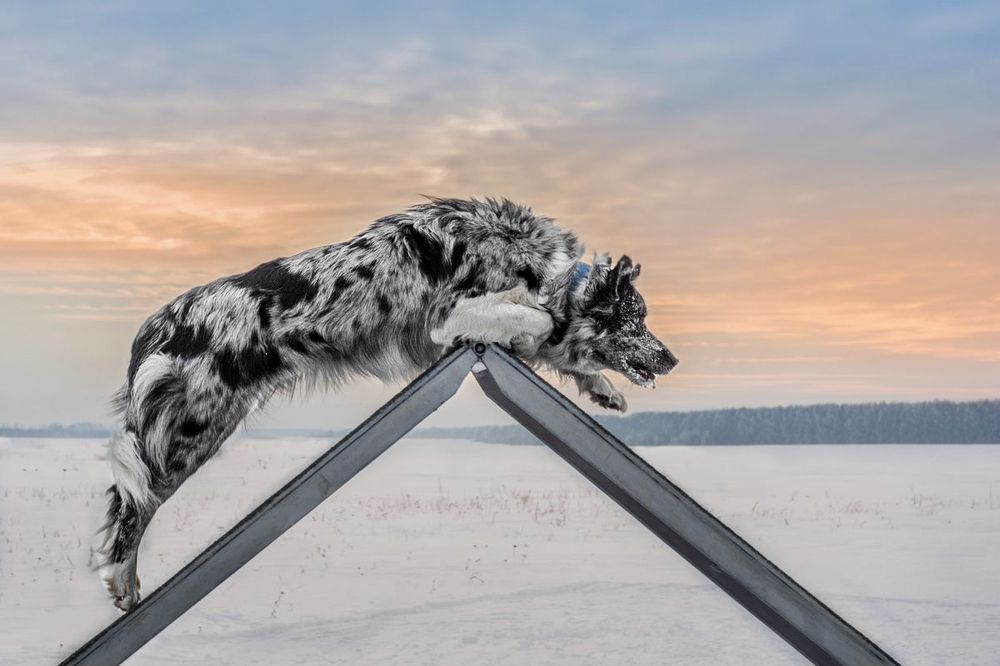 Photograph by Сергей Степанов