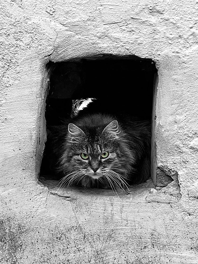 Фотография автора Екатерина Кузнецова