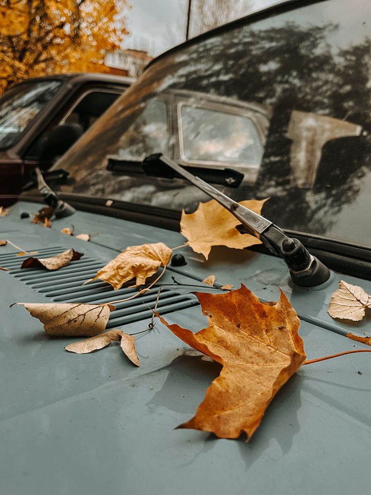 Фотография автора Екатерина Кузнецова