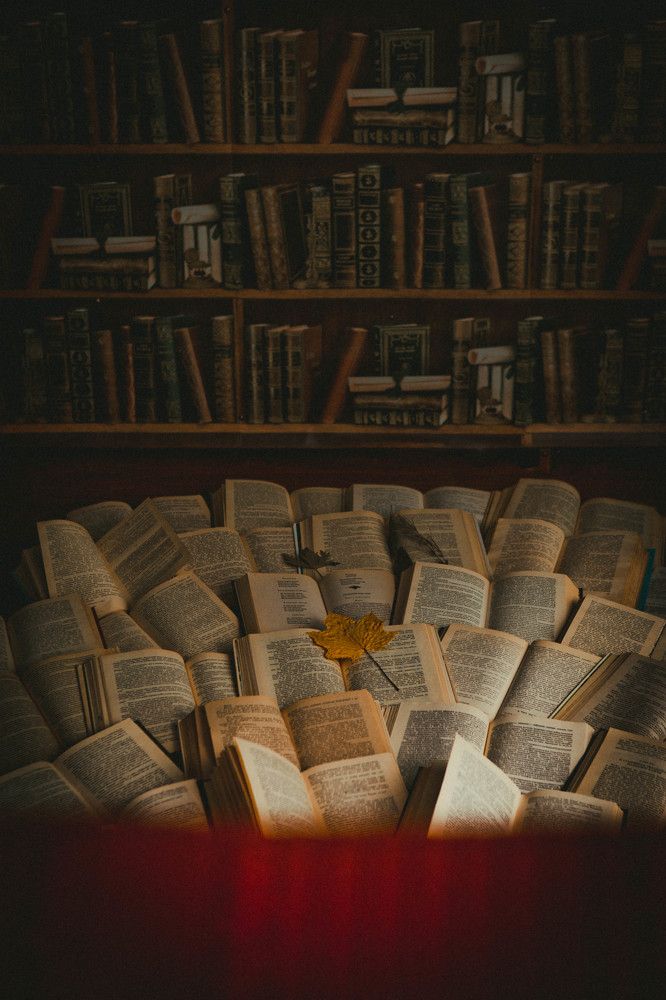 Листья и листы.