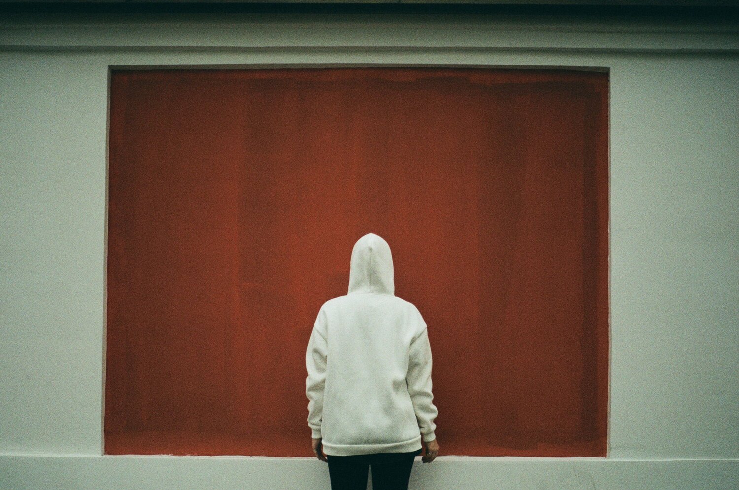 Photo #11687967