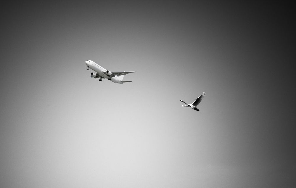 Photograph by Vitaliy