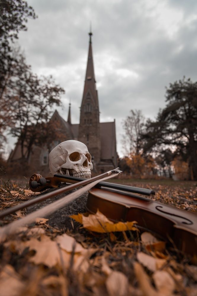 Photograph by Alexandre Dpari