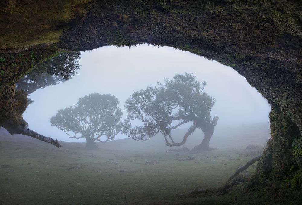 Photograph by Jose Uceda