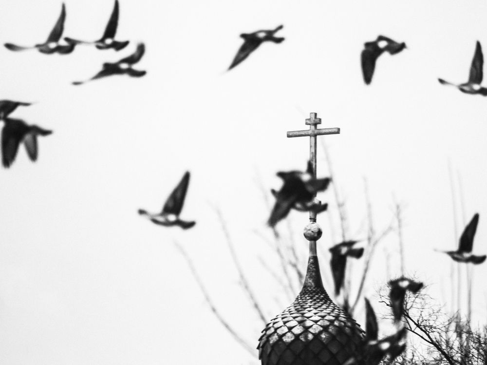 Photograph by Юркин Егор