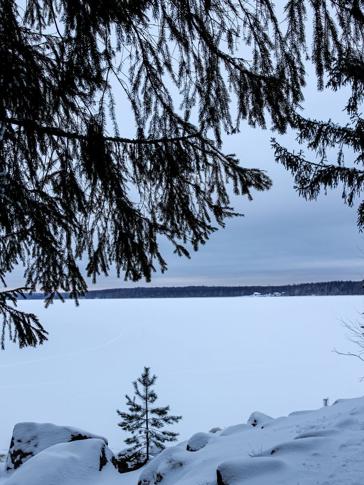 Photograph by Юркин Егор